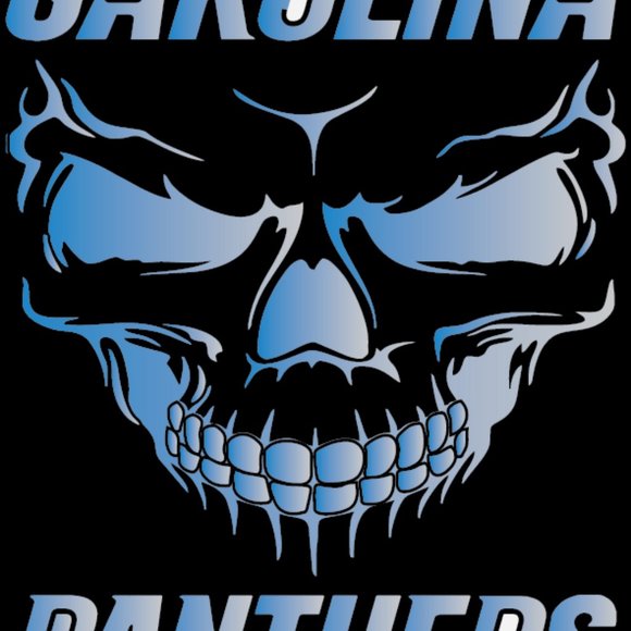 Carolina Panthers - Picture 2 of 2